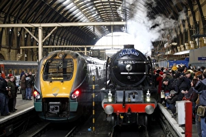 Tornado Steam Train