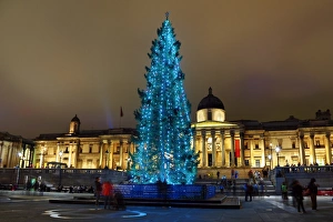 Trafalgar Square Christmas Tree decorations and fountains, London Trafalgar Square Christmas Tree decorations and fountains, London
