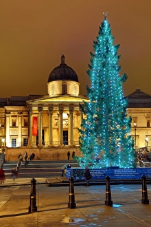 Trafalgar Square Christmas Tree decorations and fountains, London