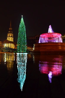 Trafalgar Square Christmas Tree, Trafalgar Square, London