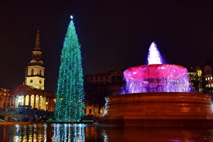Trafalgar Square Christmas Tree, Trafalgar Square, London