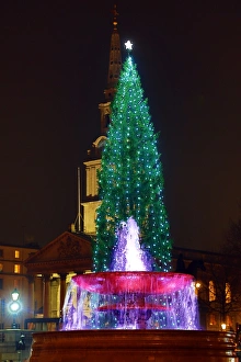 Trafalgar Square Christmas Tree, Trafalgar Square, London
