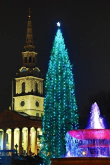 Trafalgar Square Christmas Tree, Trafalgar Square, London