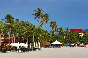 Images Dated 13th April 2015: Tropical sandy beach with palm trees in Pantai Cenang, Langkawi, Malaysia