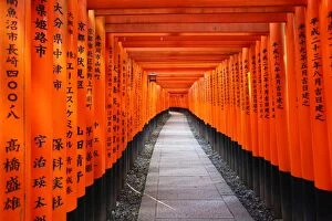 Kyoto, Japan Collection: Tunnels of red Torii gates, Fushimi Inari shrine, Kyoto, Japan