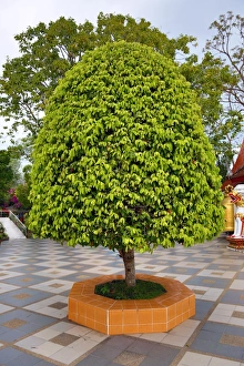 Wat Prathat Doi Suthep temple, Chiang Mai, Thailand
