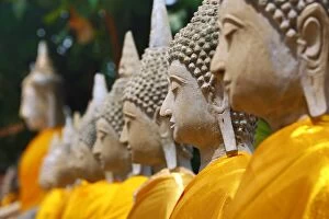 Ayutthaya, Thailand Collection: Wat Yai Chaimongkol Temple Buddha statues, Ayutthaya, Thailand