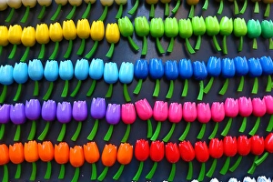 Wooden tulip flowers fridge magnets on sale in the flower market in Amsterdam, Holland