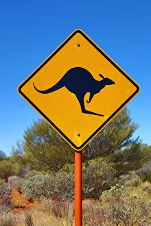 Australia Collection: Yellow kangaroo wildife warning sign in Australia